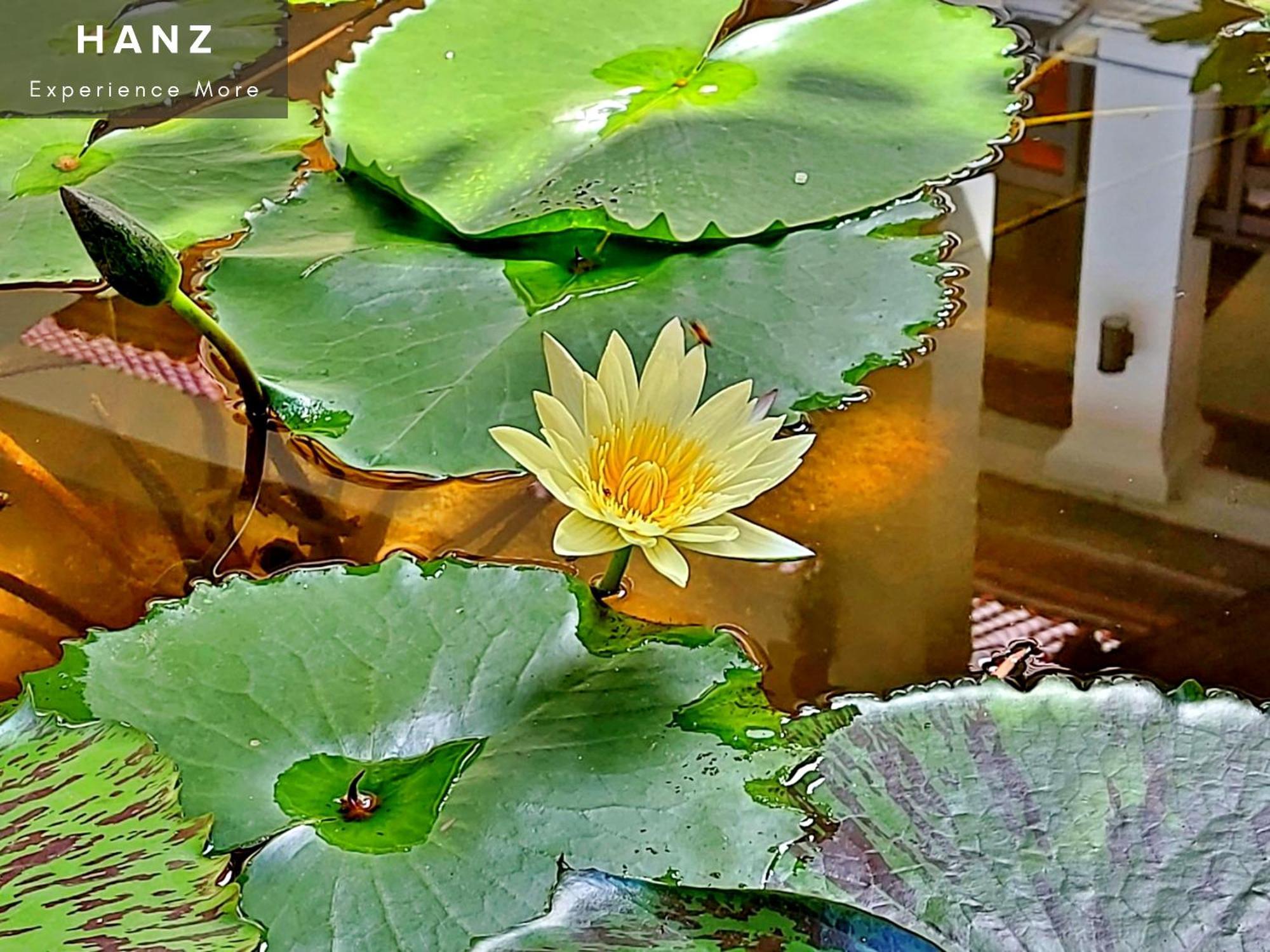 Sunrise Luang Prabang Hotell Exteriör bild