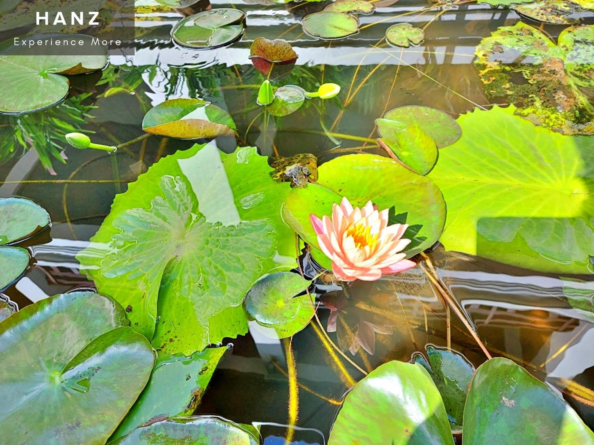 Sunrise Luang Prabang Hotell Exteriör bild
